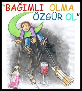bagmllk.