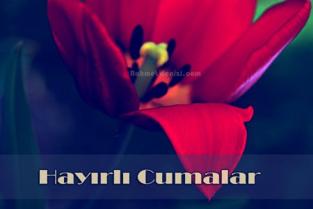 cuma-msj1.