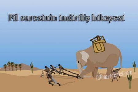 fil-vakası.