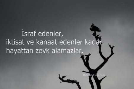 israf.