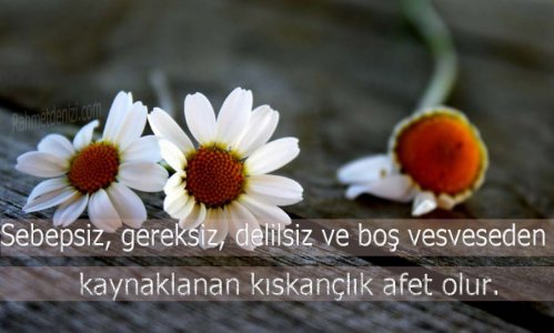 kıskançlık.