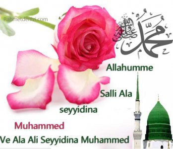 SALAVAT-.