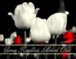 kandil mesajları_rahmetdenizi_010.