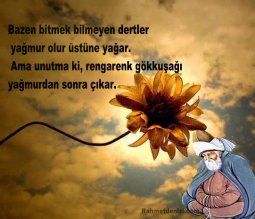 mevlana-rahmetdenizi-2.