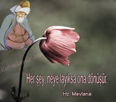 mevlana-rahmetdenizi-3.