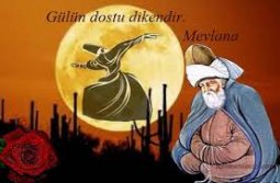 mevlana-rahmetdenizi-5.