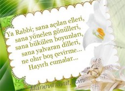 resim.