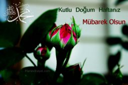 kutludoğum haftası sözleri-4.