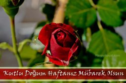 kutludoğum haftası sözleri-1.