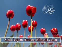 kutludoğum haftası sözleri-2.