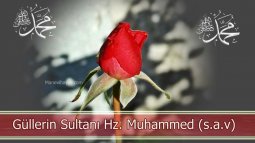 kutludoğum haftası sözleri-5.