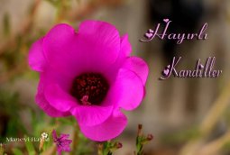 regaib kandili mesajları-1.