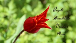 regaib kandili mesajları-2.