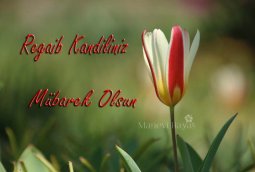 regaib kandili mesajları-3.