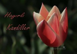 regaib kandili mesajları-4.