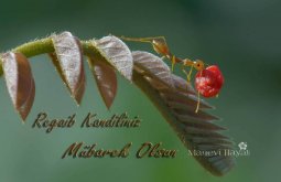 regaib kandili mesajları-5.