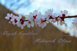 regaib kandili mesajları-6.