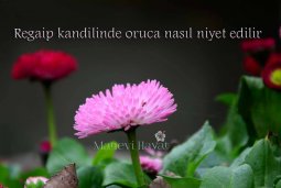 regaip kandili orucuna nasıl niyet edilir.