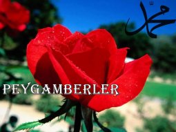cicek-renkleri-ve-anlamlari[1].