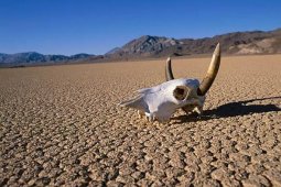 Ölüm-Vadisi-Death-Valley.