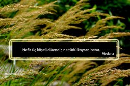 En Güzel Resimli Dini Sözler, İslami Resimli Güzel Sözler-2.