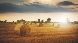 Antroposen-nedir-Antroposen-çağı.